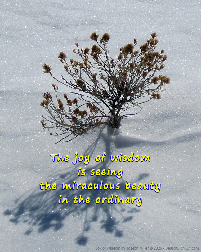 miraculous joy of wisdom image